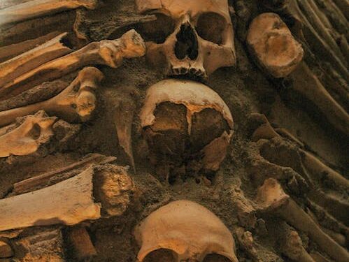 Hallan restos de un hombre descuartizado en una valija en una plaza y detienen a su hijo en Lanús