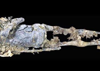 La Momia de Hatshepsut fue encontrada por Howard Carter en KV60