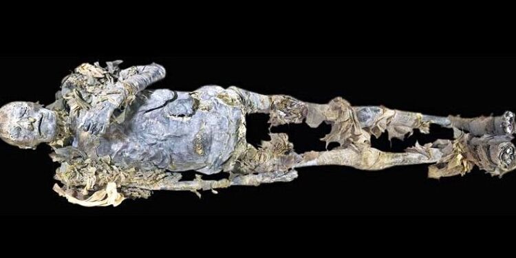 La Momia de Hatshepsut fue encontrada por Howard Carter en KV60