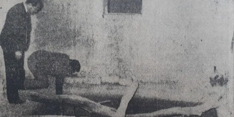 Margarita Díaz, la mujer asesinada y encontrada en un piletón de Rivadavia