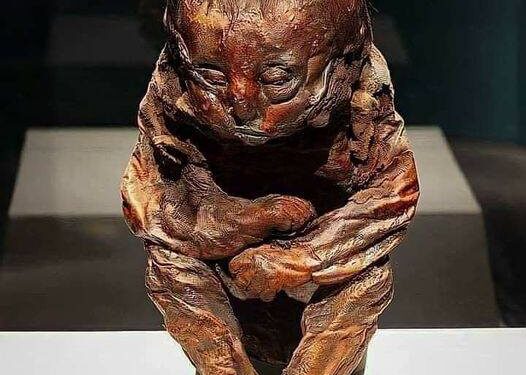 El chico de Detmold, la momia bebé encontrada en los Andes del Perú