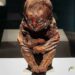 El chico de Detmold, la momia bebé encontrada en los Andes del Perú
