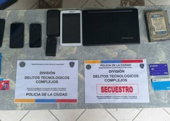 Desbaratan red internacional de pedofilia y tráfico de pornografía infantil