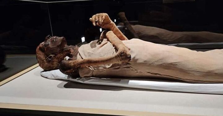 Cuando la momia de Ramsés II levantó su mano