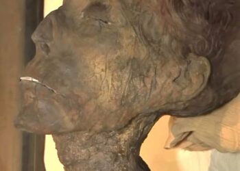 Los restos momificados del rey Amenhotep II