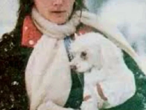 El Caso de Terry Ann Dolowy: Un Viaje de Misterio y Justicia