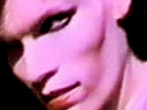 La secta que obedecía a la morsa