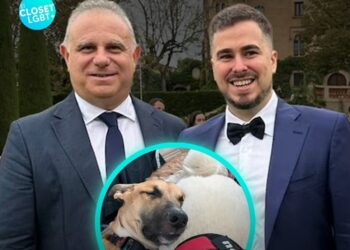 Pareja gay se casará con sus perros como testigos