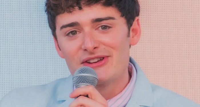 Noah SchnappWill Byers: el protagonista de «Stranger Things» se asume como gay