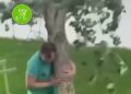 Un padre sostiene un árbol que había plantado su hija antes de morir