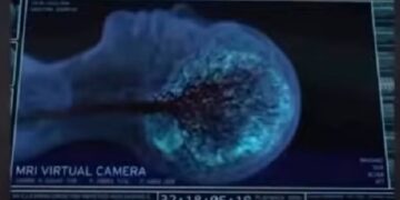 Después de la muerte el cerebro humano sigue viviendo siete minutos más