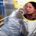Un hombre naciò sin pene y transcurriò 40 años ocultàndolo